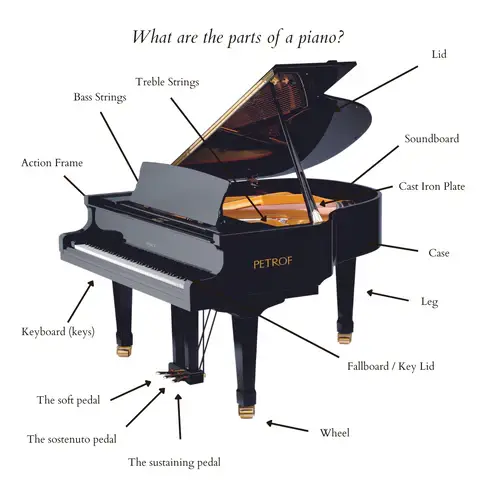 Piano anatomy/parts